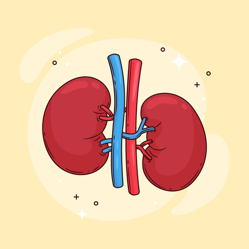 Chronic Kidney Disease