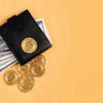 Understanding Crypto Wallets: Hot vs. Cold Storage for Maximum Security