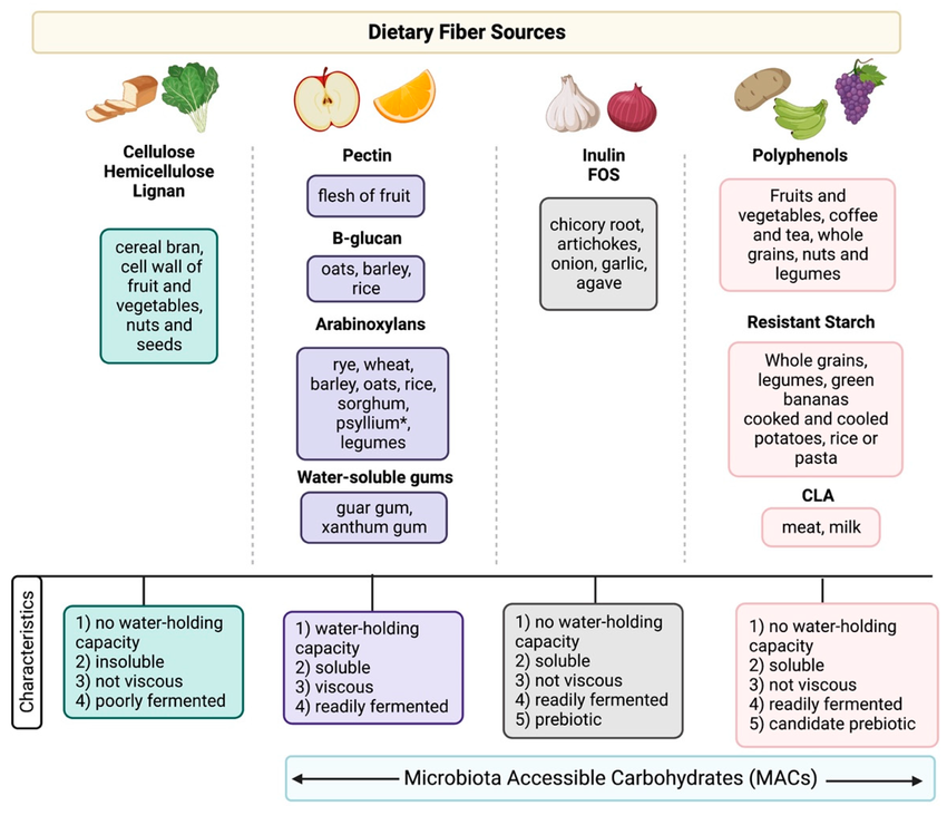 Dietary Fiber