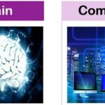 A visually striking image showing a human brain on one side and a modern computer motherboard on the other, connected by glowing digital lines.