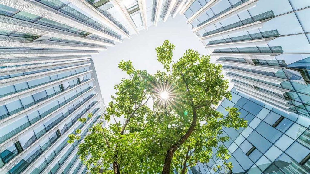 6. Sustainable & ESG-Compliant Properties: The Future is Green