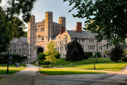 Best Colleges for Online Business Degrees in 2025-2026