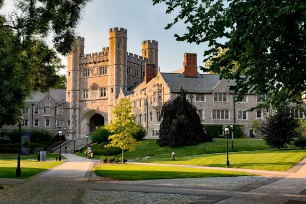 Best Colleges for Online Business Degrees in 2025-2026