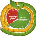 The Truth About Intermittent Fasting (What Studies Say)