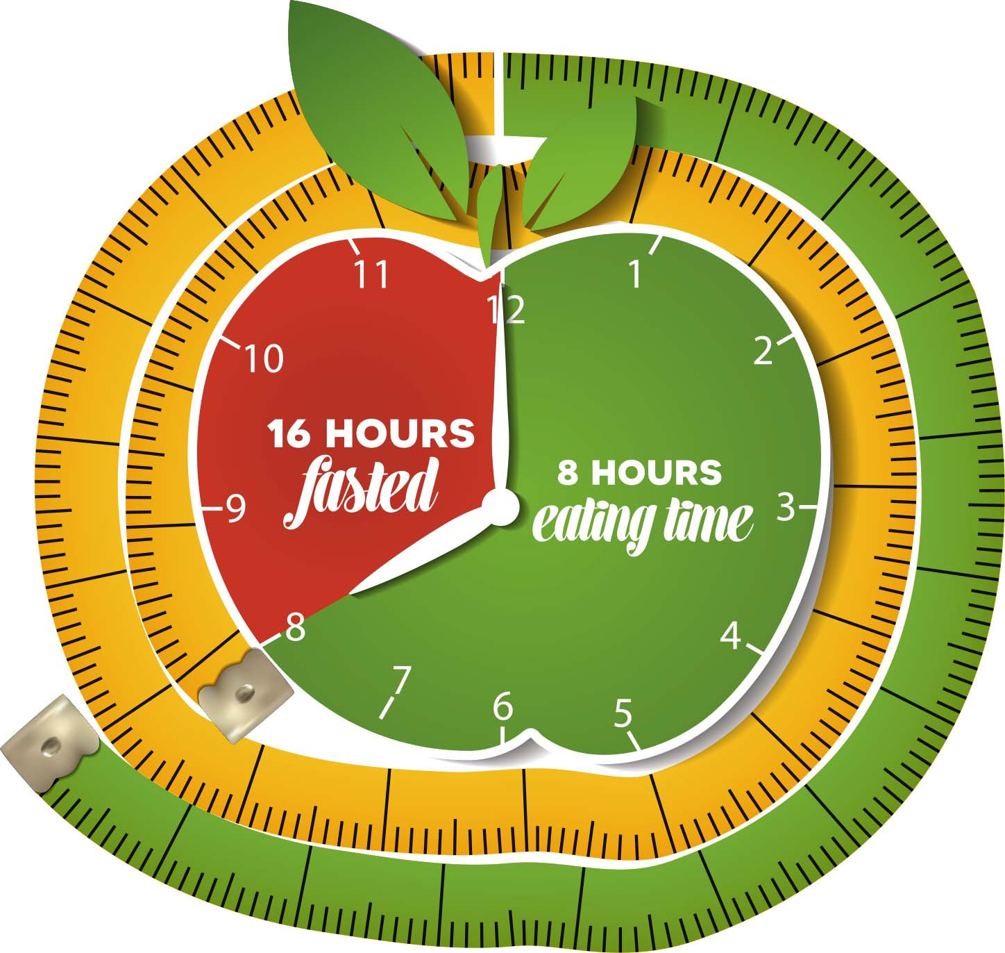 The Truth About Intermittent Fasting (What Studies Say)