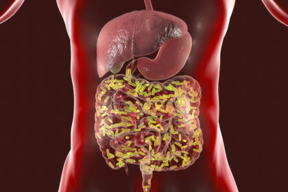 Gut Health: The Second Brain You Need to Understand