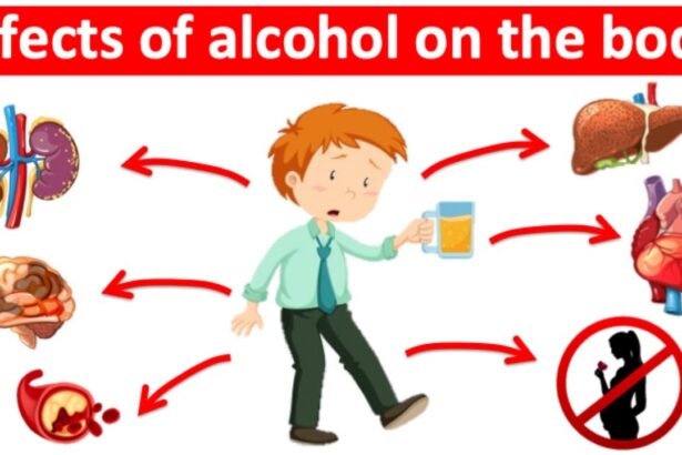 Alcohol and Your Body: The Real Science, Simplified
