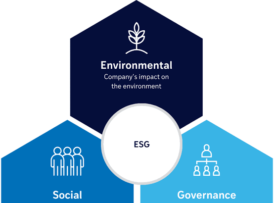 Sustainability Meets Strategy — How Sovereign Wealth Funds Are Reshaping Corporate ESG